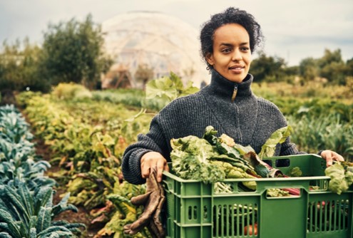 Shape the future of food systems education and training in Europe.